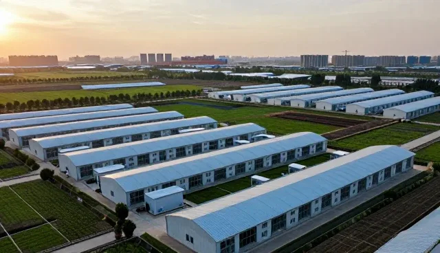 财税咨询工具性能差异及日常维护建议