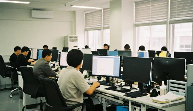 本地化服务方案如何适应多样化适用条件